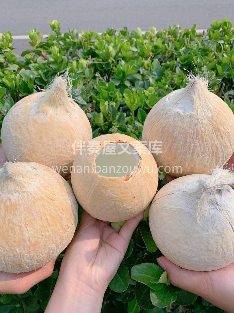 🌴秋天就需要冰冰凉的饮料续命！ 有什么比 配图3