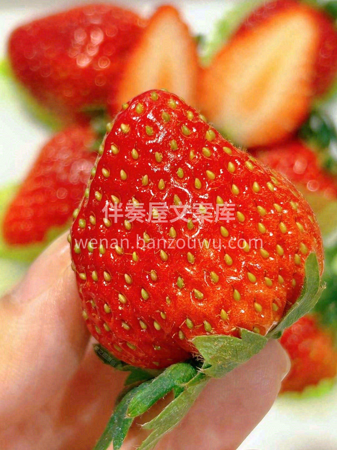 🌿 每天的平常心， 每一颗新鲜果实， 都 配图3