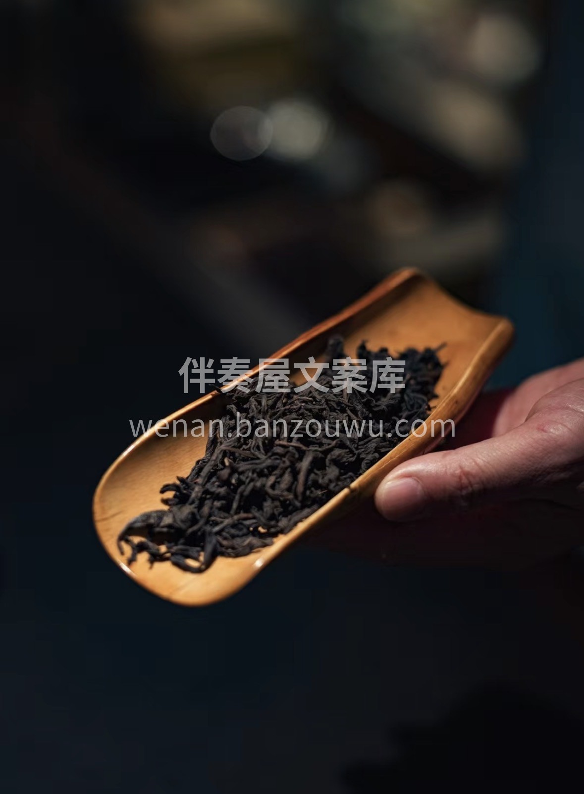 🌧️与❄️老枞水仙｜在茶香里邂逅岁月温柔 配图1