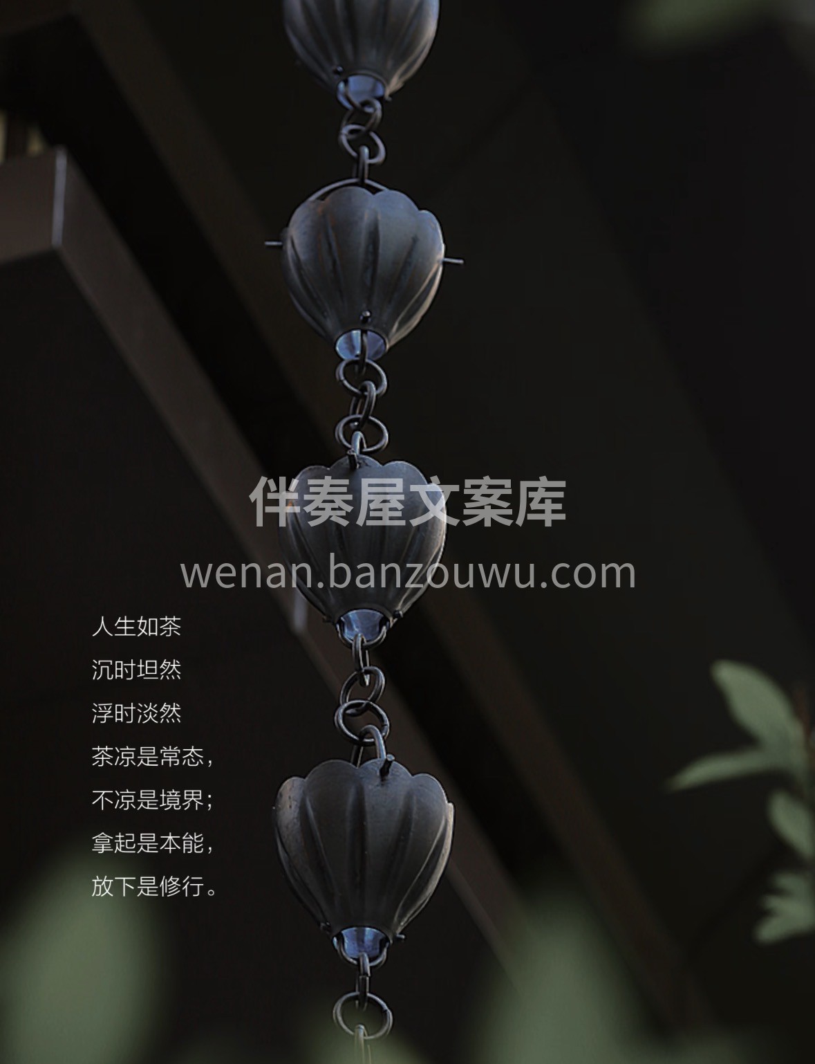 🌿人生如茶，一半沸腾，一半沉淀 生活就像 配图2