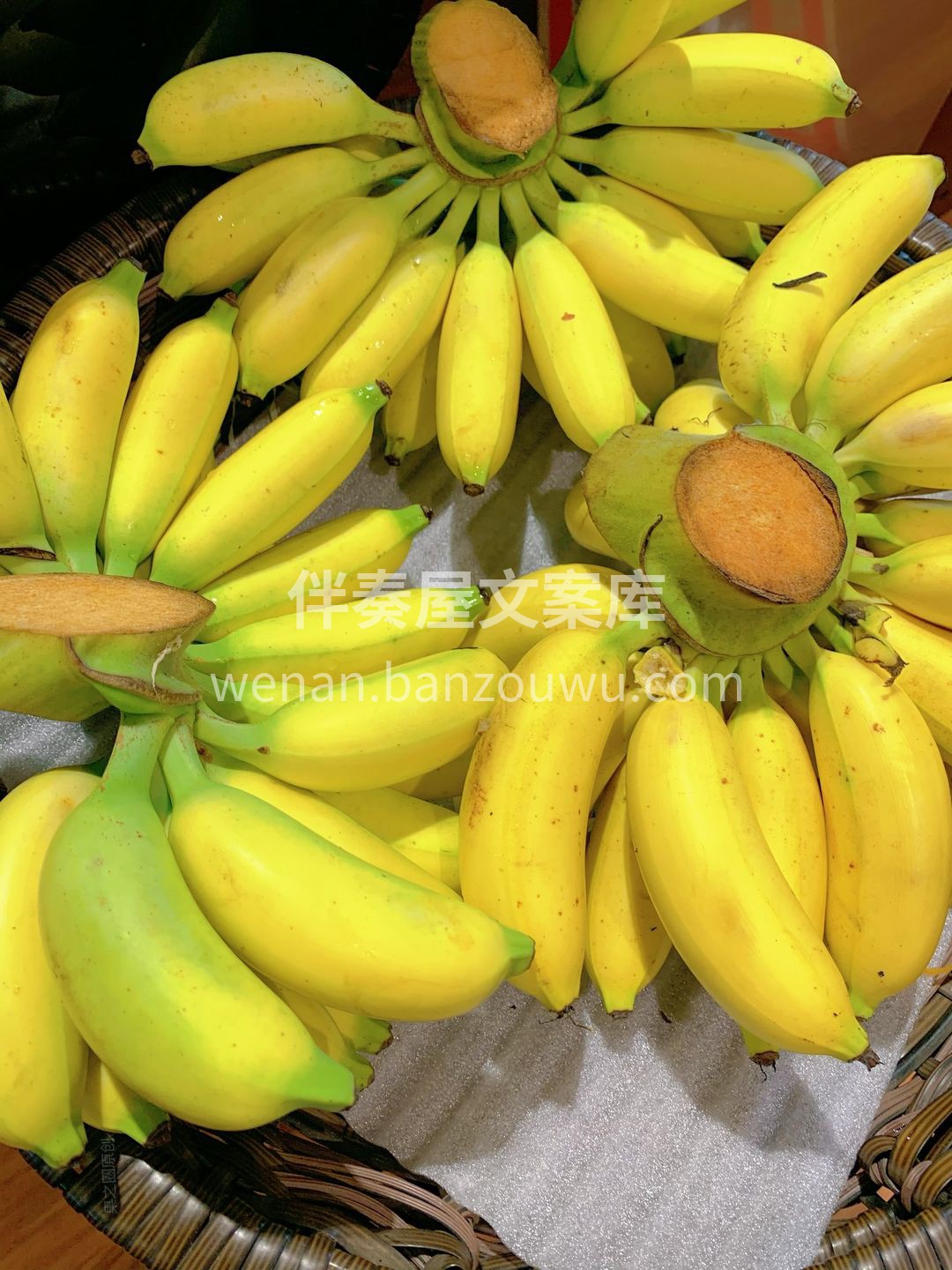 🍌“蕉”香四溢 小小的身体内蕴含着饱满的 配图3