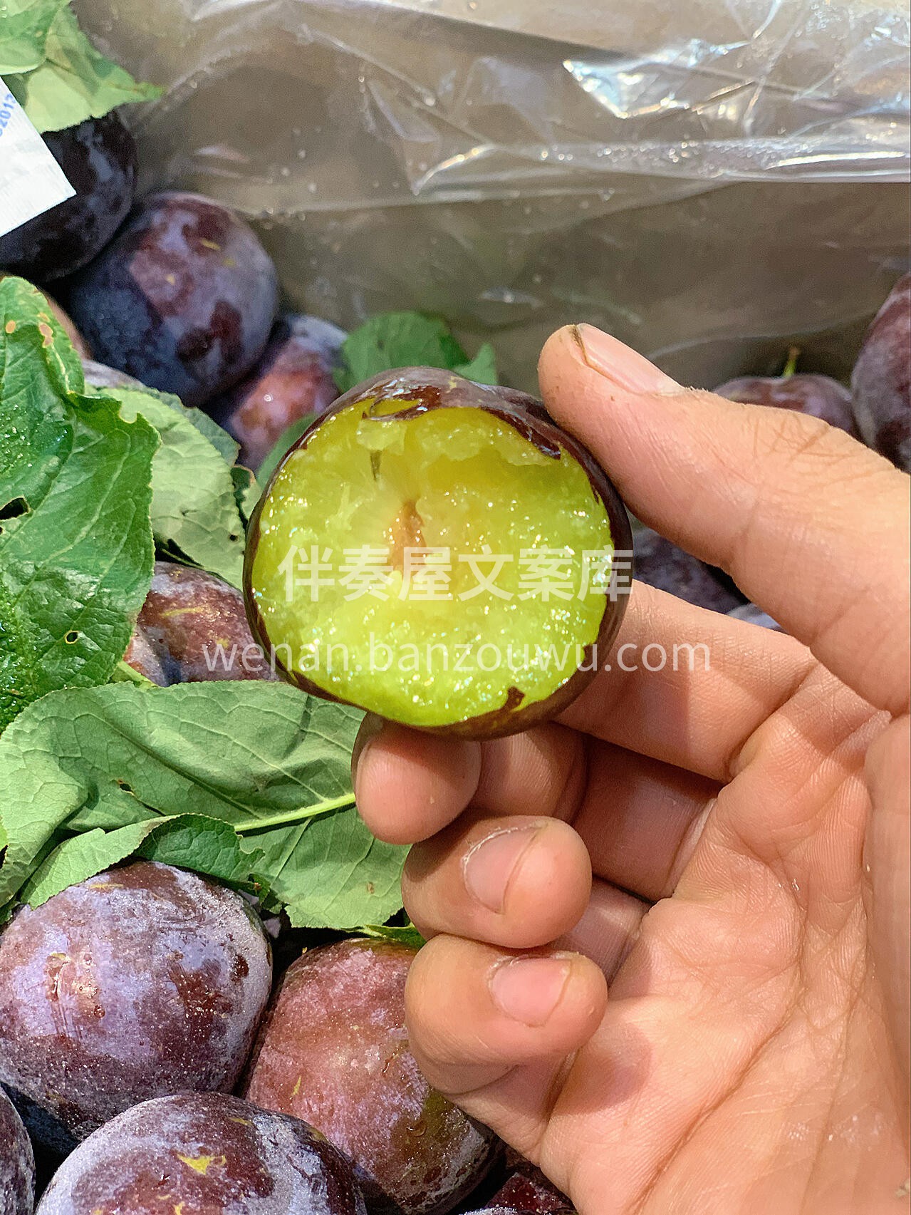 青红脆李🌈清脆脱骨🌿爽甜🈶️清香💥脆美可 配图2