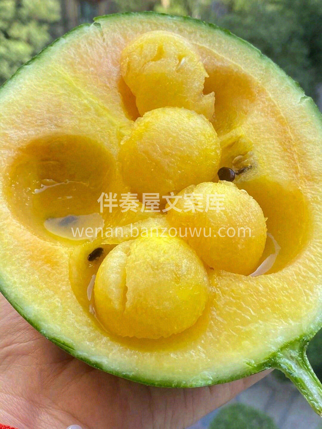 初到舌尖时😋，有一丝甜蜜的凉意，像是在吃 配图1