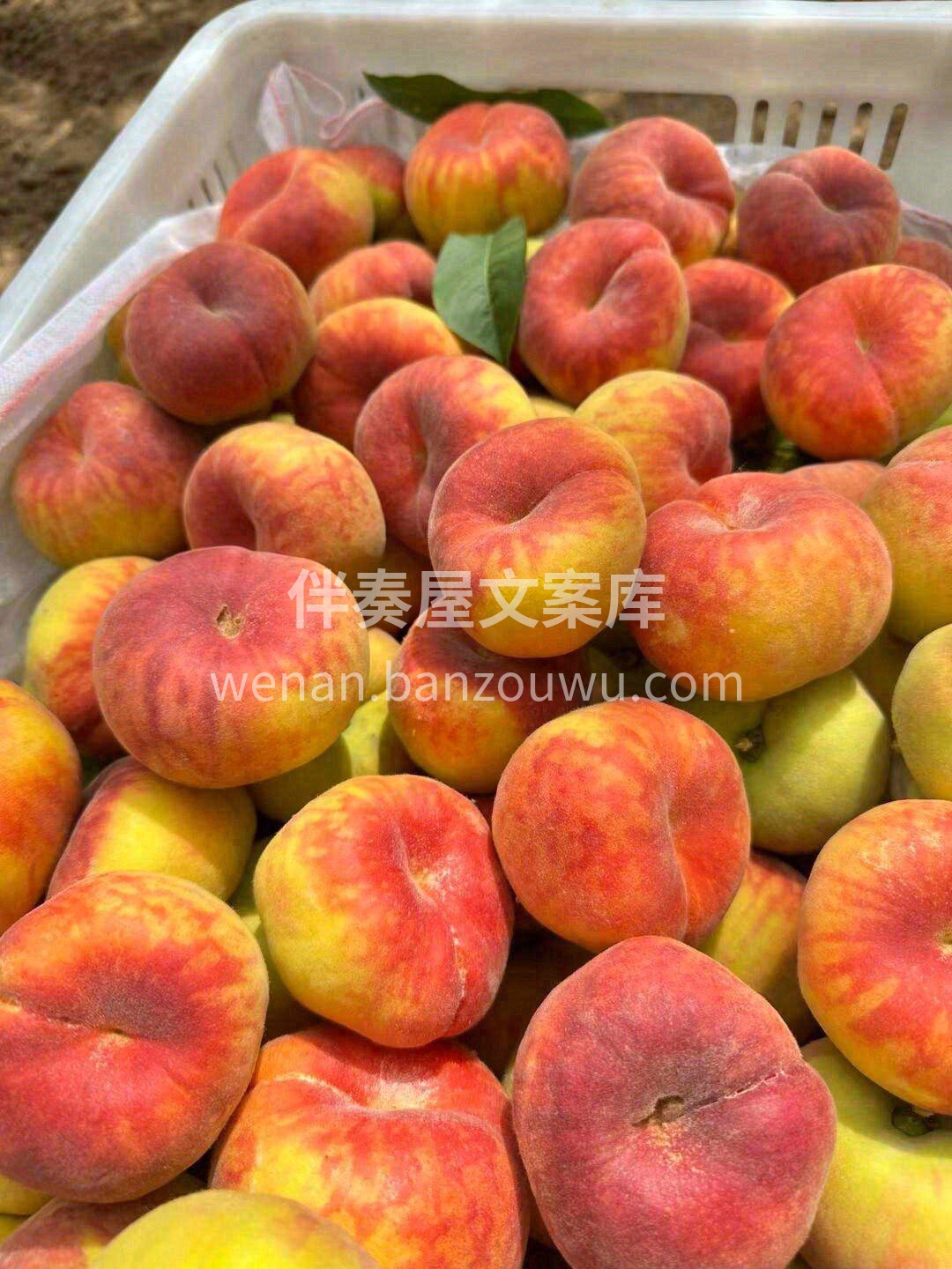 🍊水果小铺营业啦！ 今日份甜蜜已上架🍍🥑 配图1