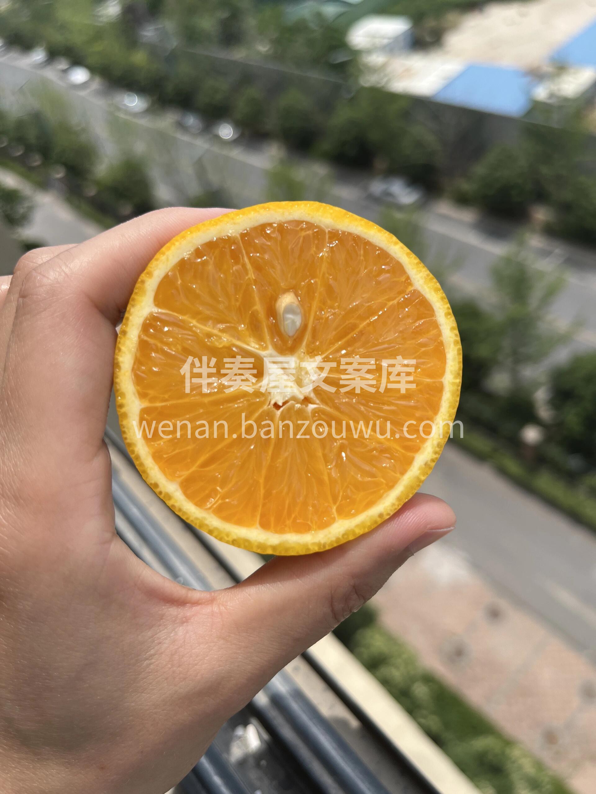 酸甜可口，汁多饱满，夏天独一份！ 🍊秭归 配图1