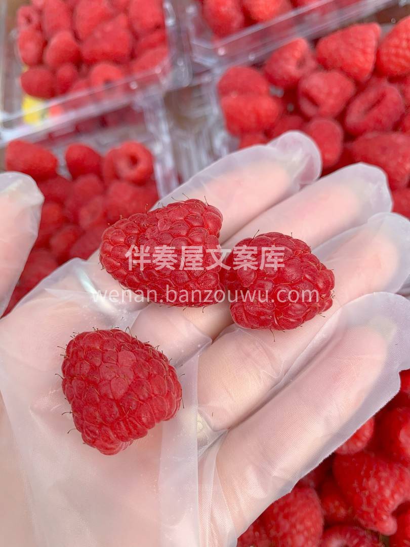 红树莓||一颗晶莹剔透💓 特别新鲜，满满 配图1