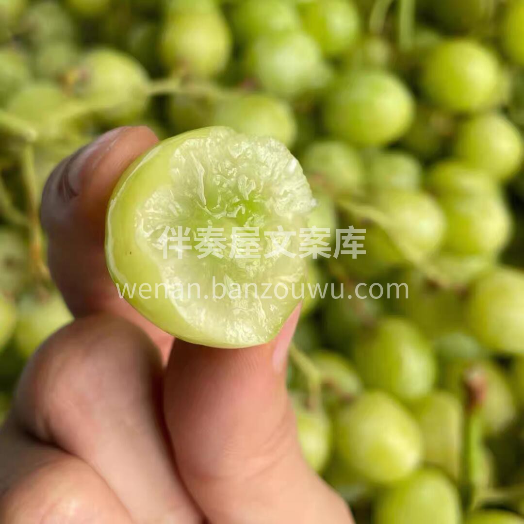 【🎉秘鲁🇵🇪秋天脆青提】 青提系列最佳口 配图2