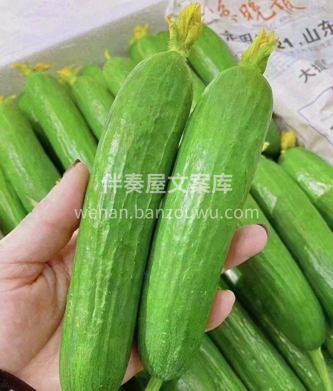 🍭🍭今日推荐【水果黄瓜🥒】 又脆又清爽， 配图2