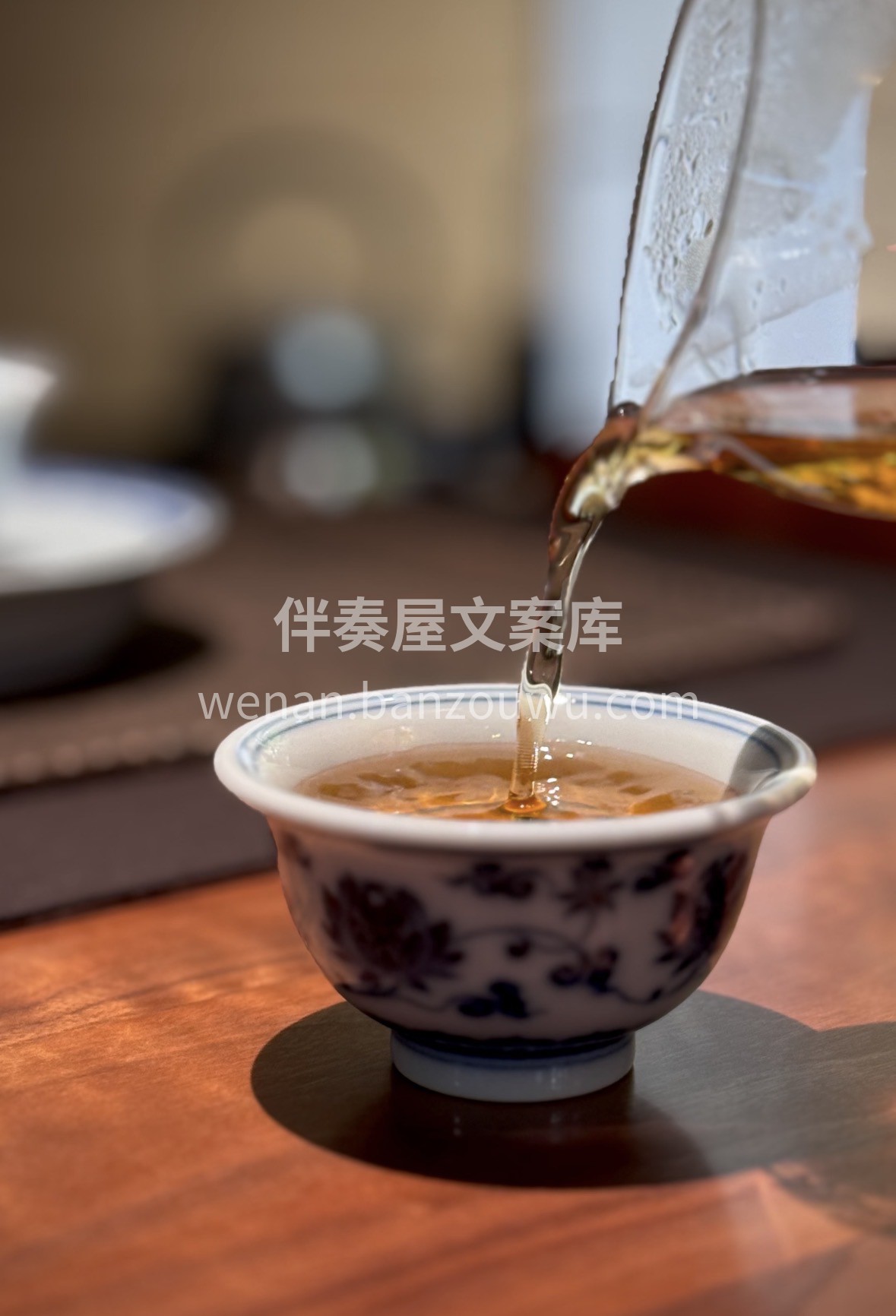 一年更比一年好，一茶更比一年香。福鼎老白 配图3