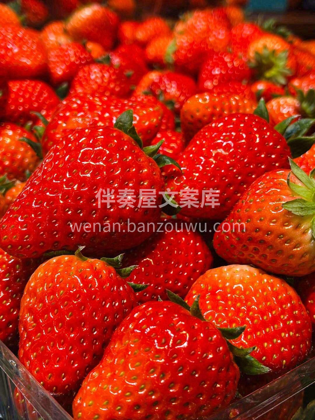 超级漂亮😍😍😍 🌿🍓有草莓味的冬天，每一 配图2