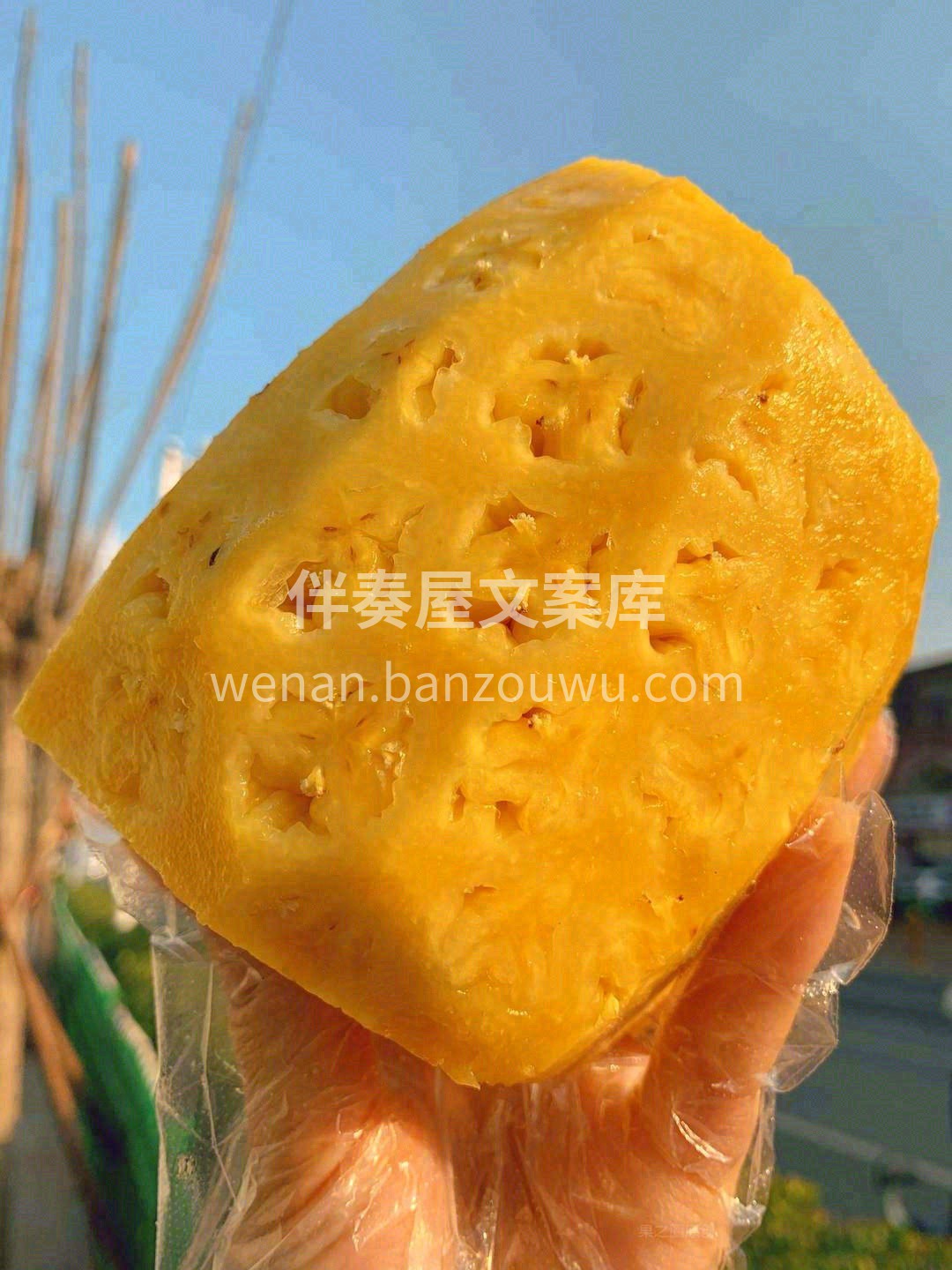 🌿来自菲律宾的凤梨，不得了，切开的瞬间， 配图1
