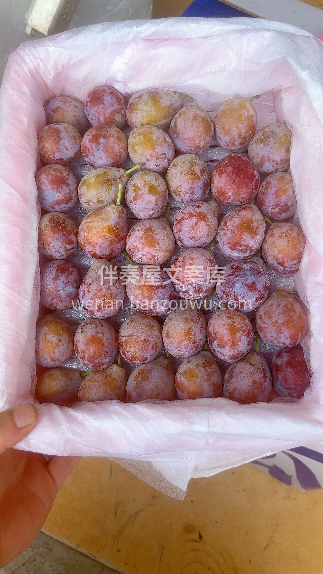 ❗上线啦！口感无敌好 新疆空运特级西梅✅ 配图3