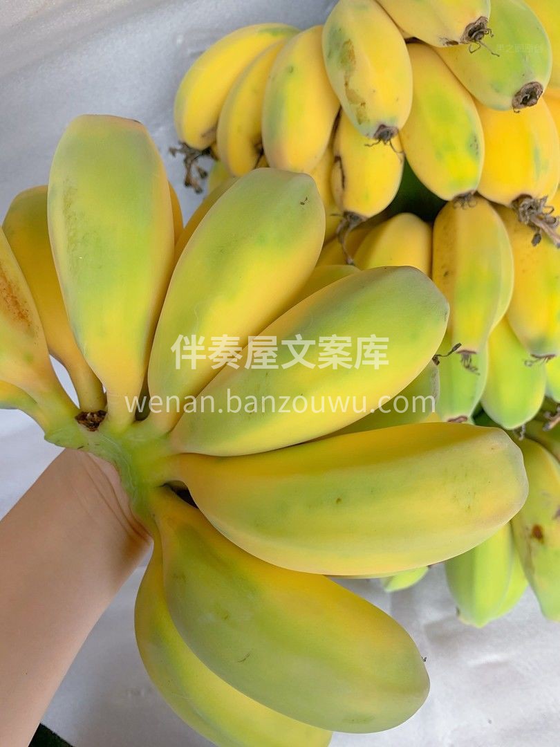 😎不用洗、不用切、一扒皮就能吃的香蕉🍌  配图2