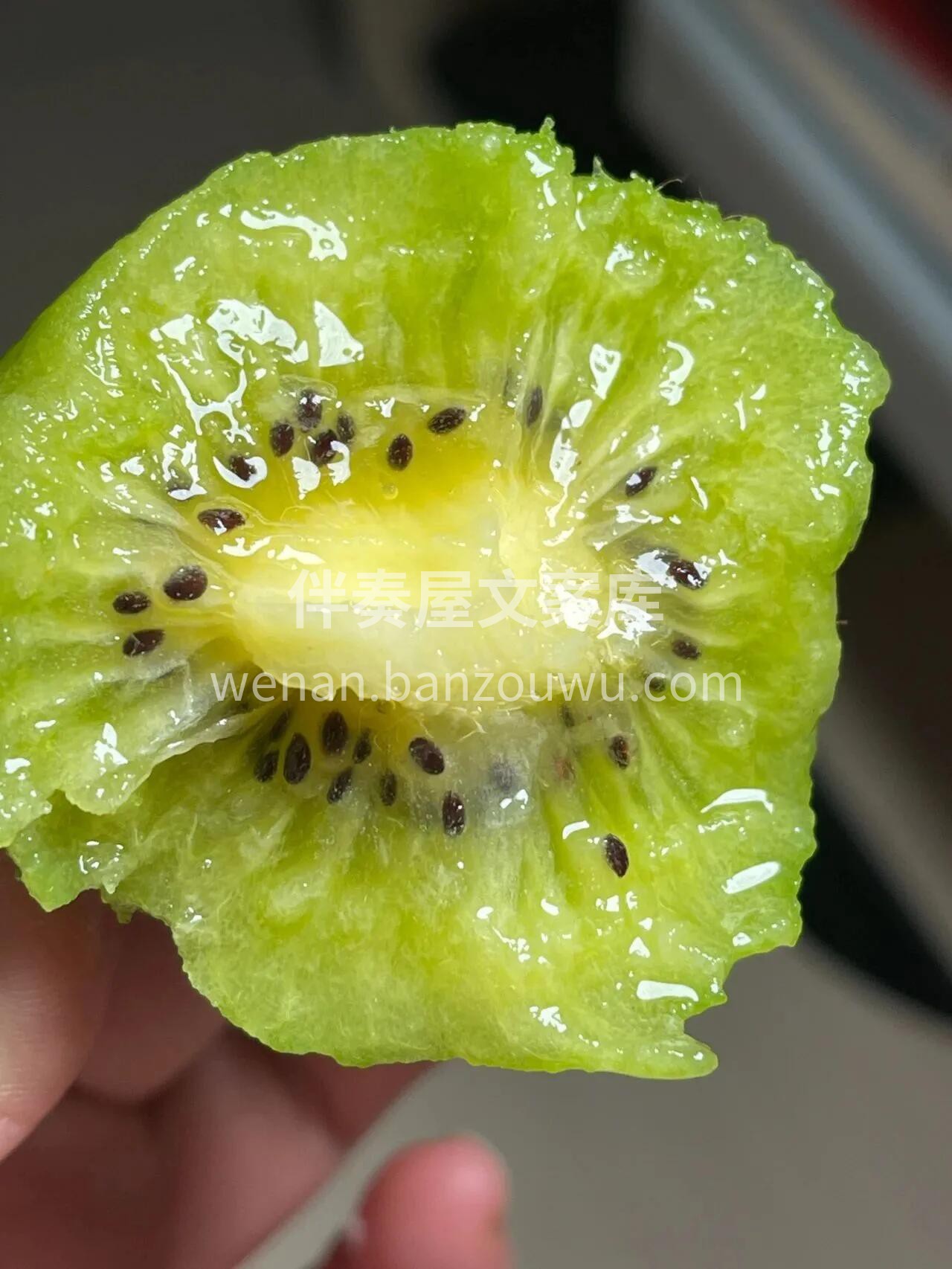 🥝 奇异果上市！🥝 毛茸茸外表藏着翠绿果 配图3