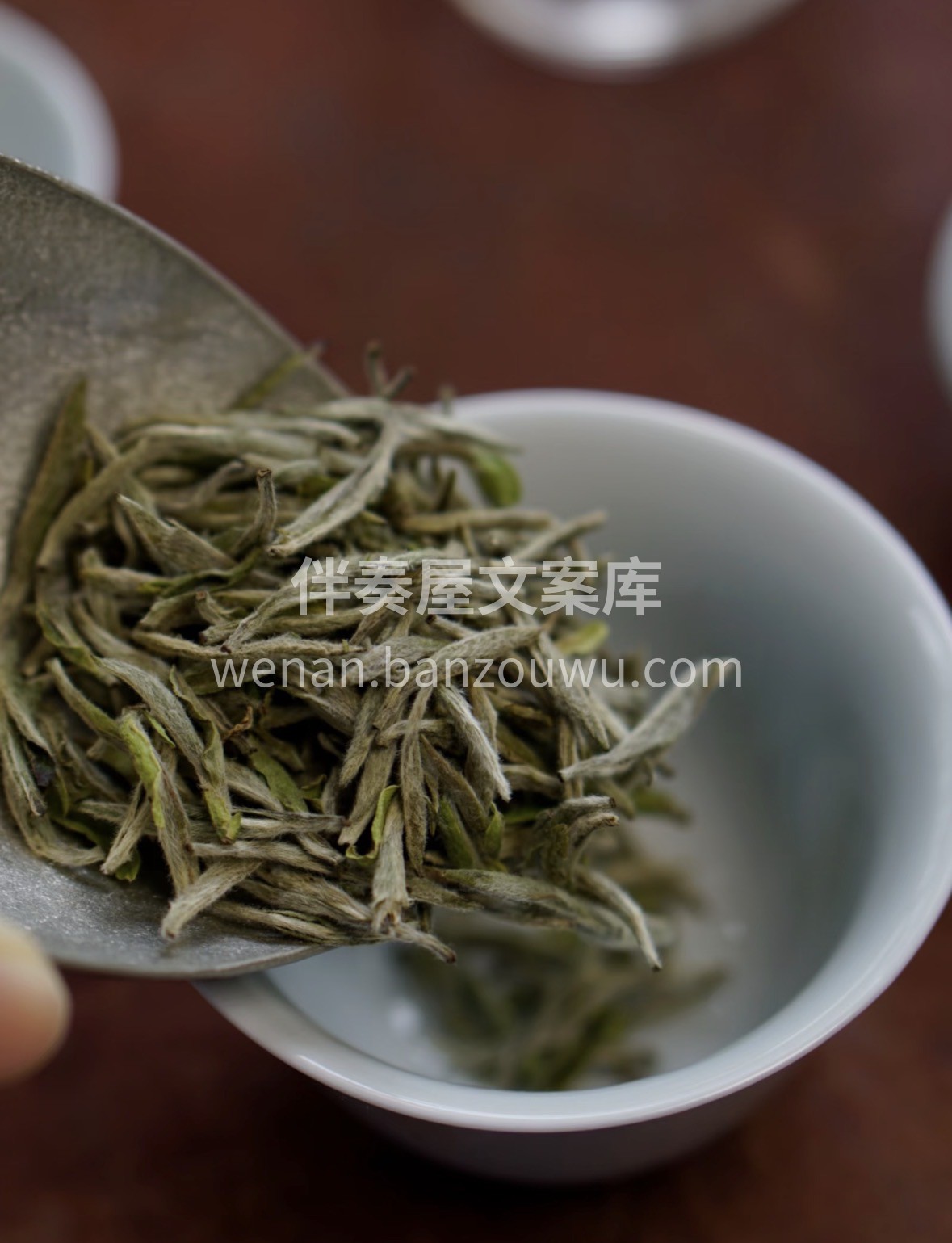 🔥 限时福利｜头采白毫银针特惠开抢 ▫️ 配图1