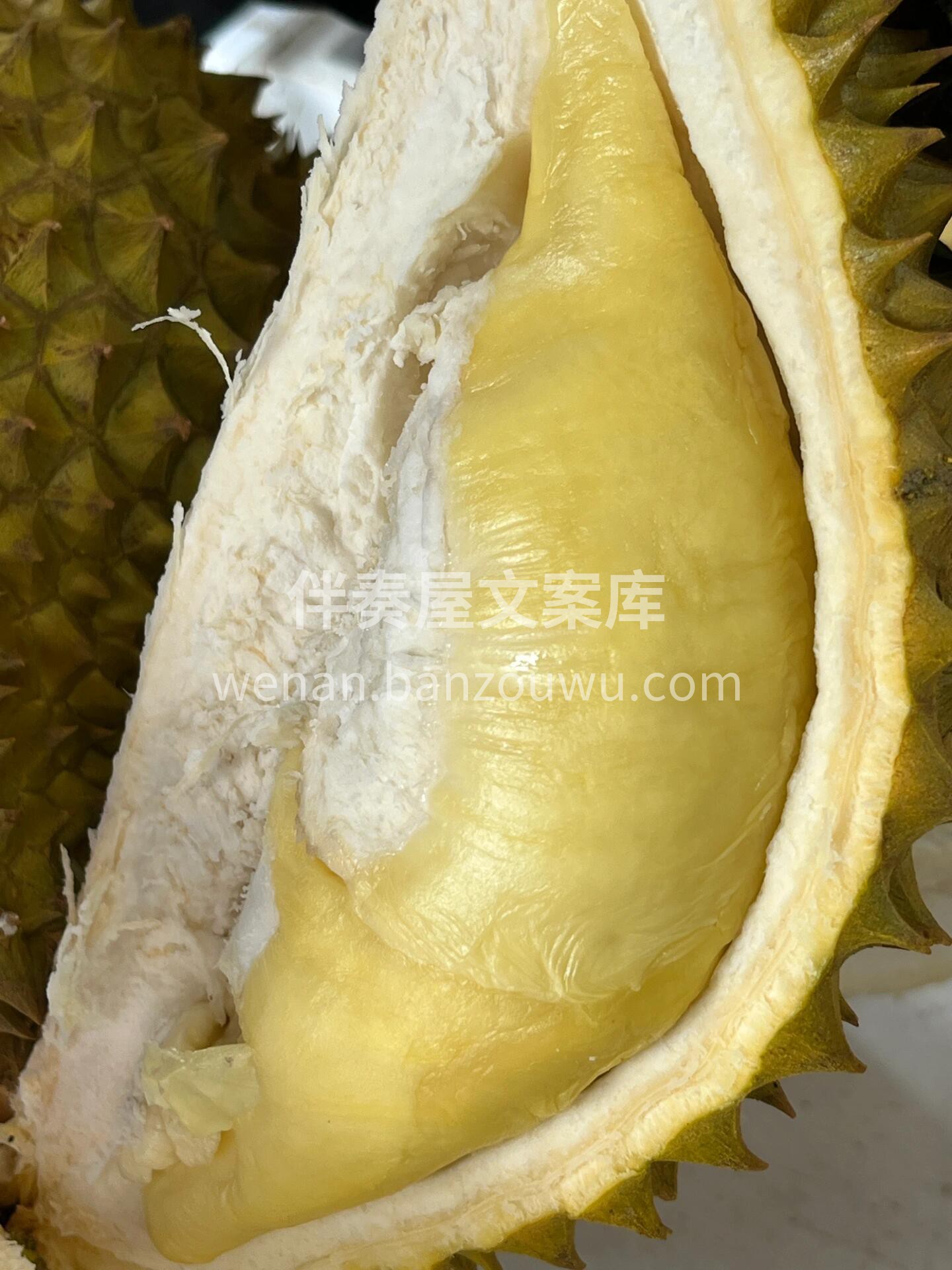 卖榴莲啦‼️金枕榴莲最新到货🔥 👏今天开 配图3