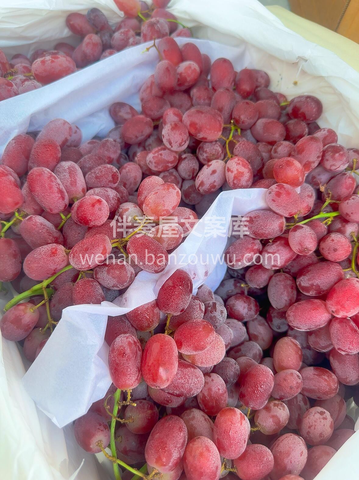 无籽红提🍇硬货到位👏 哪一颗都是嘎嘣的脆 配图1