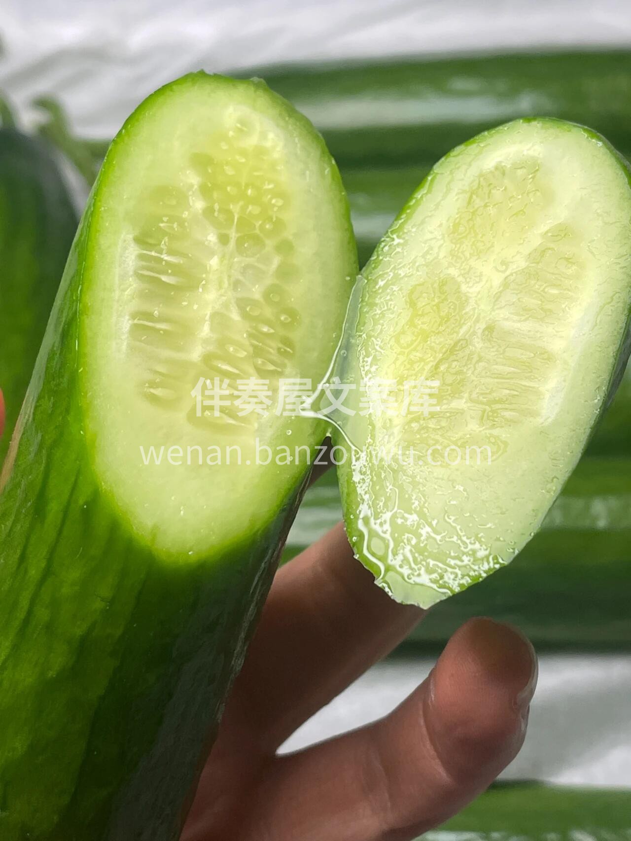 🥒水果黄瓜！💚 解腻神器来了✨ 水果黄瓜 配图2
