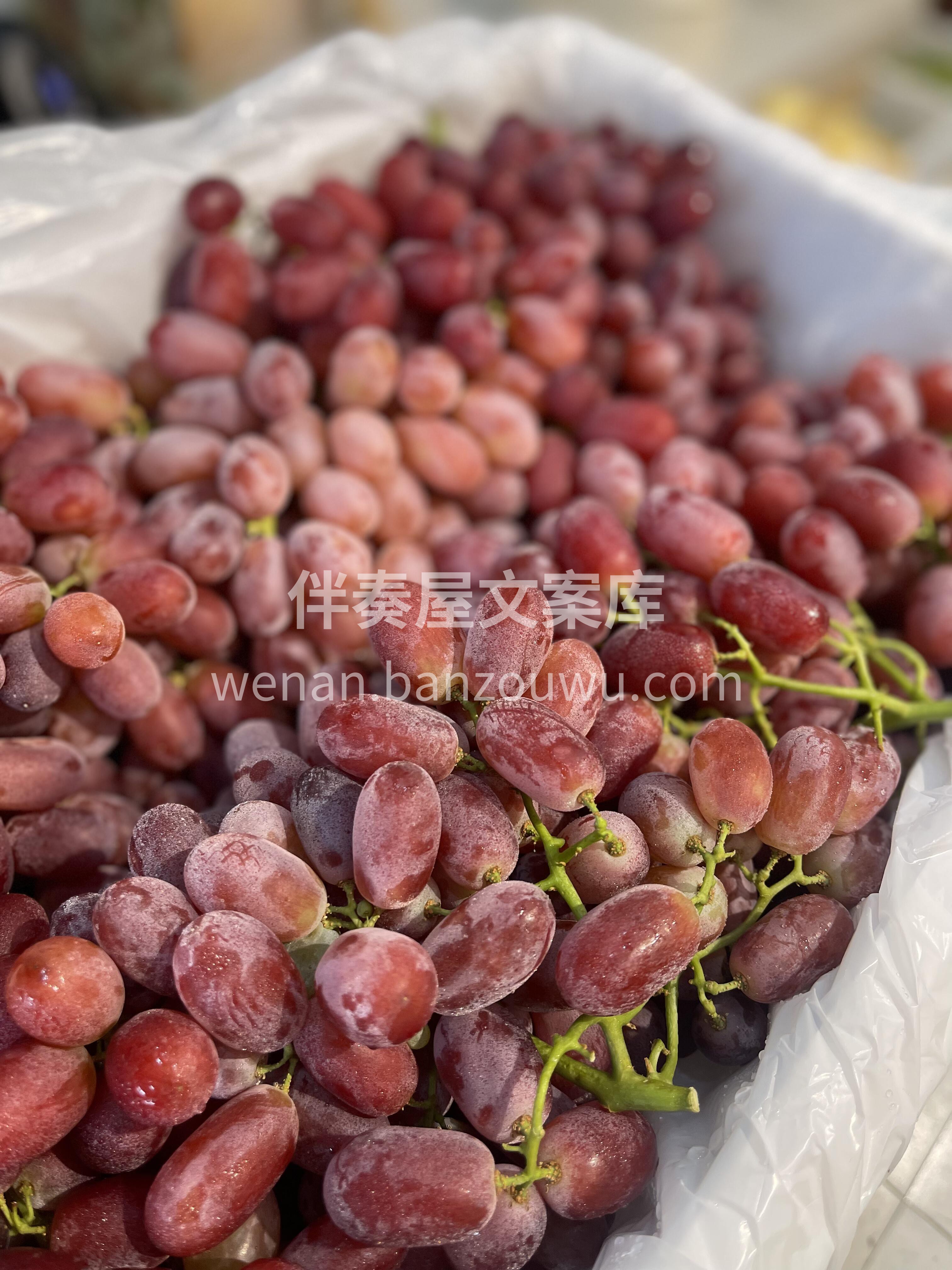 无籽红提🍇 一口一粒不吐皮😜入口甘香冰玉 配图2