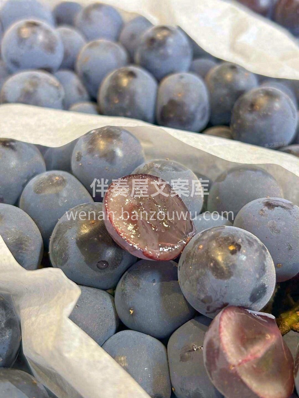 【云南 夏黑葡萄】🍇葡萄中的极品👏 ，粒 配图2