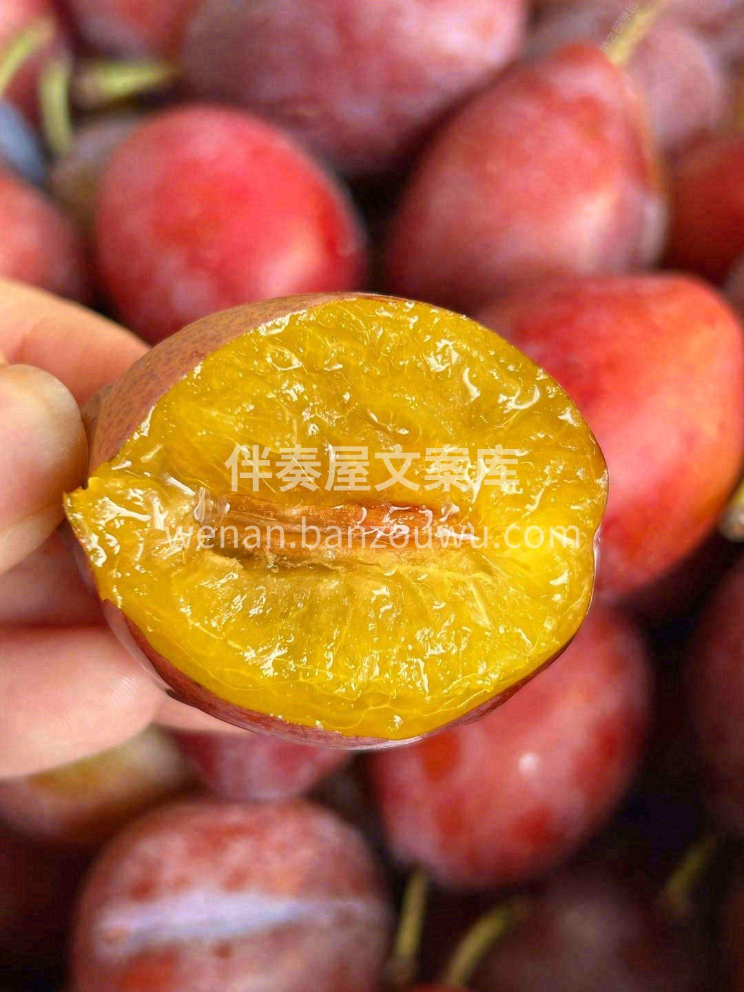 有没有三天两头上厕所不痛快的小可爱？ 🙋 配图1