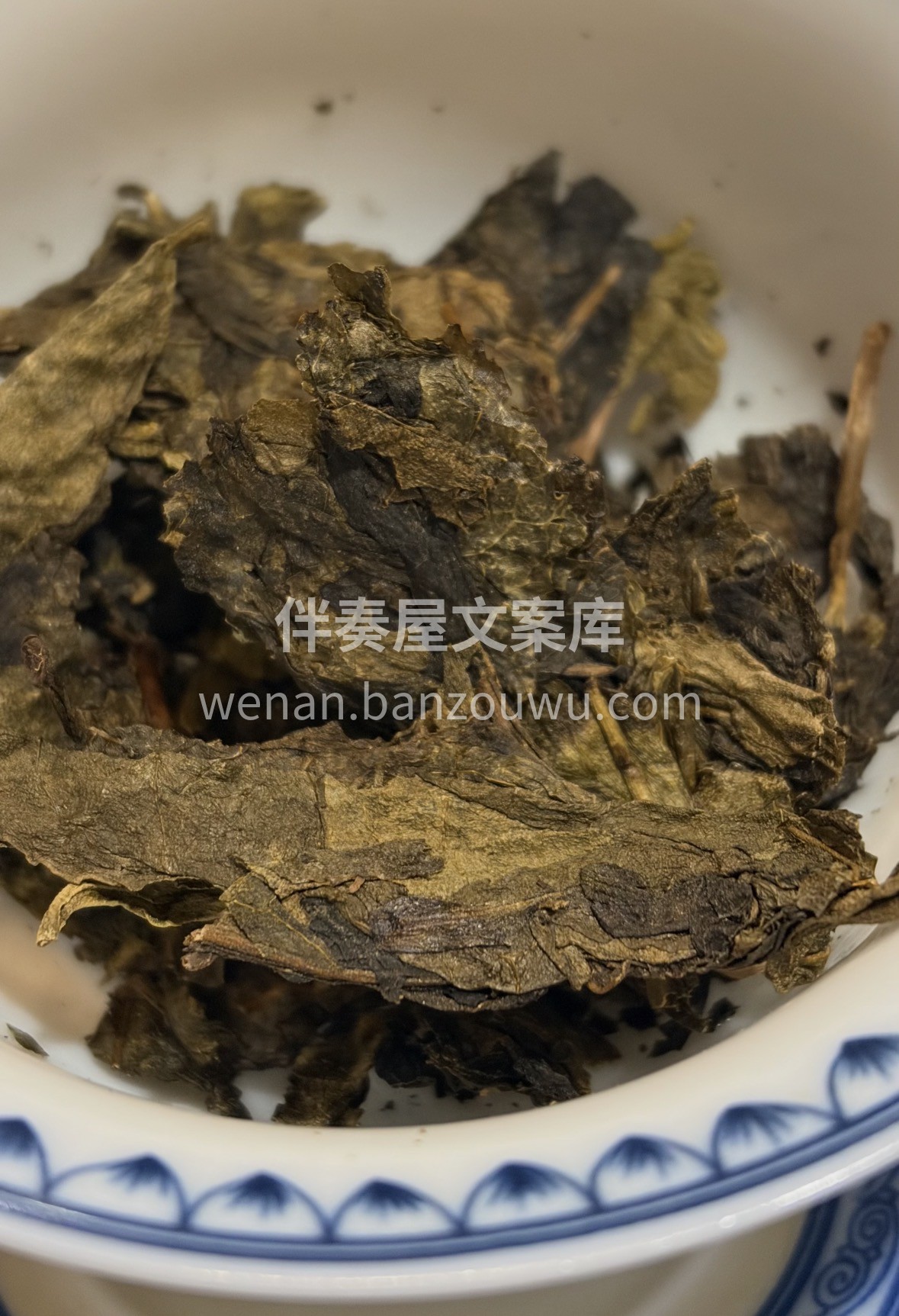 别再喝寡淡茶饮了！安化黑茶，茶中软黄金， 配图1