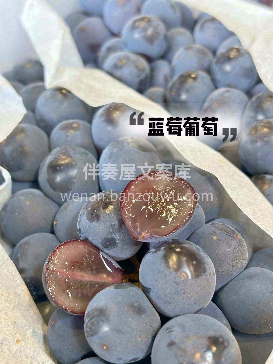 👉夏黑葡萄散发着浓郁的混合香气🌹，幸福的 配图3