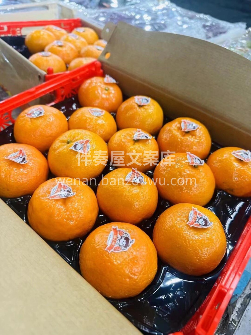 最好吃的柑橘🍊褚小柑 🍯纯甜口🍭这个季节 配图2