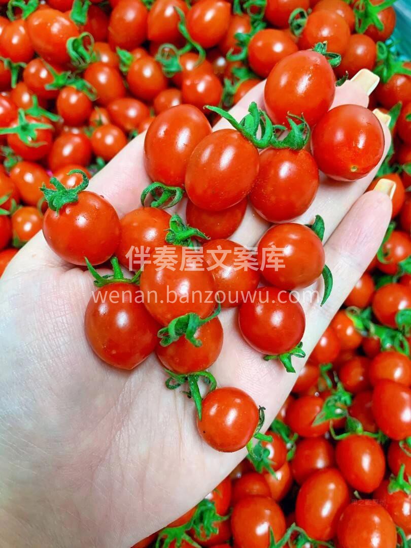 新鲜的海南千禧到货啦～ 超甜又爆汁的千禧 配图1