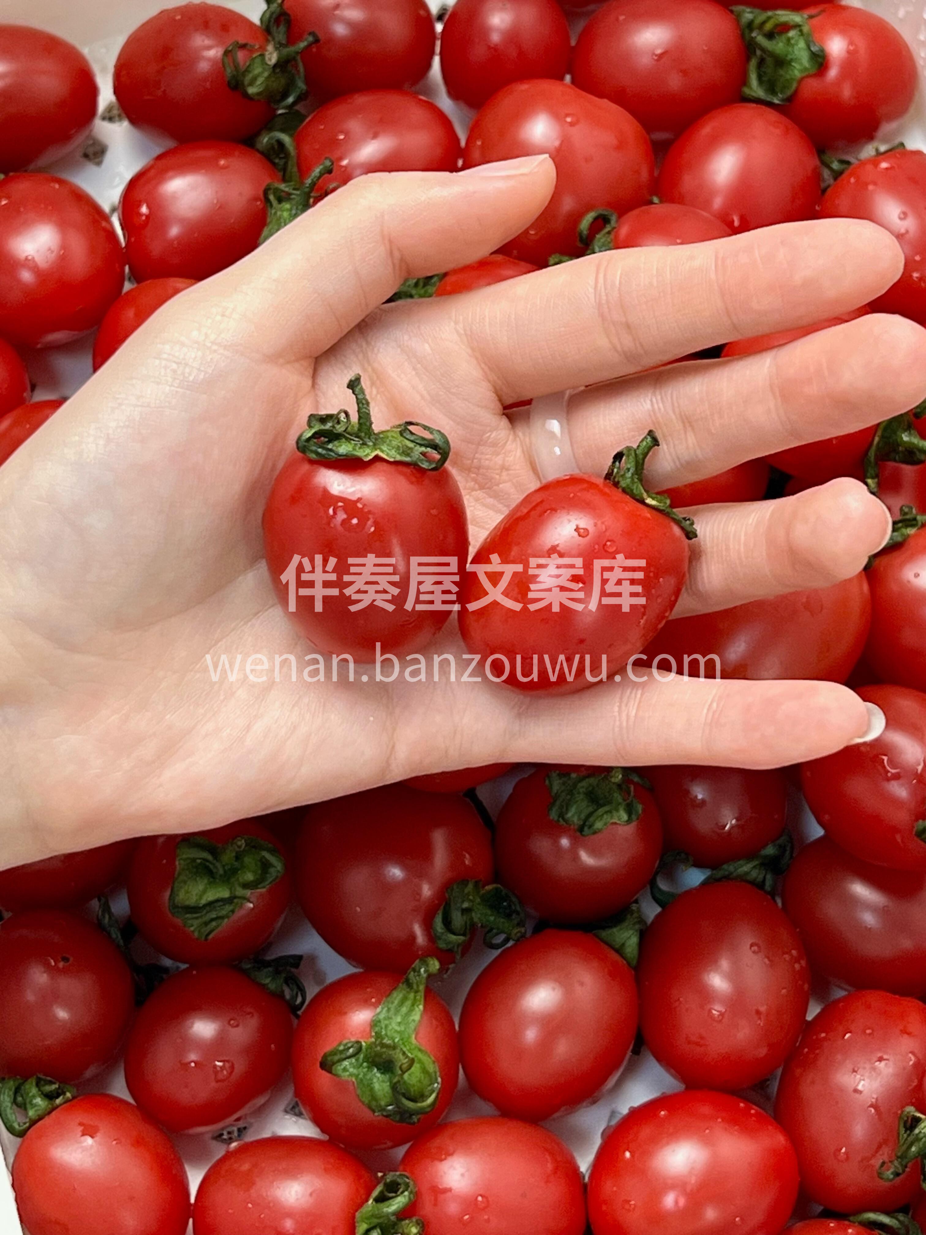 小甜甜千禧到货开箱🎉 全家都爱，孩子们大 配图1