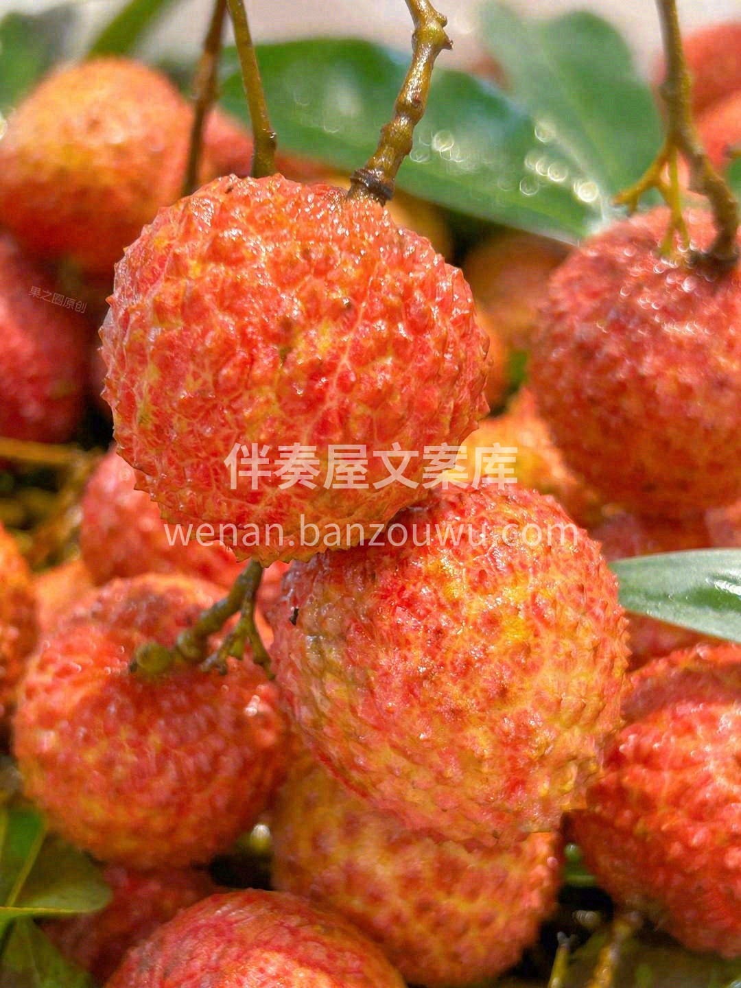皎莹如白玉，清甜带蜜香🍯 一口荔枝，令人 配图1