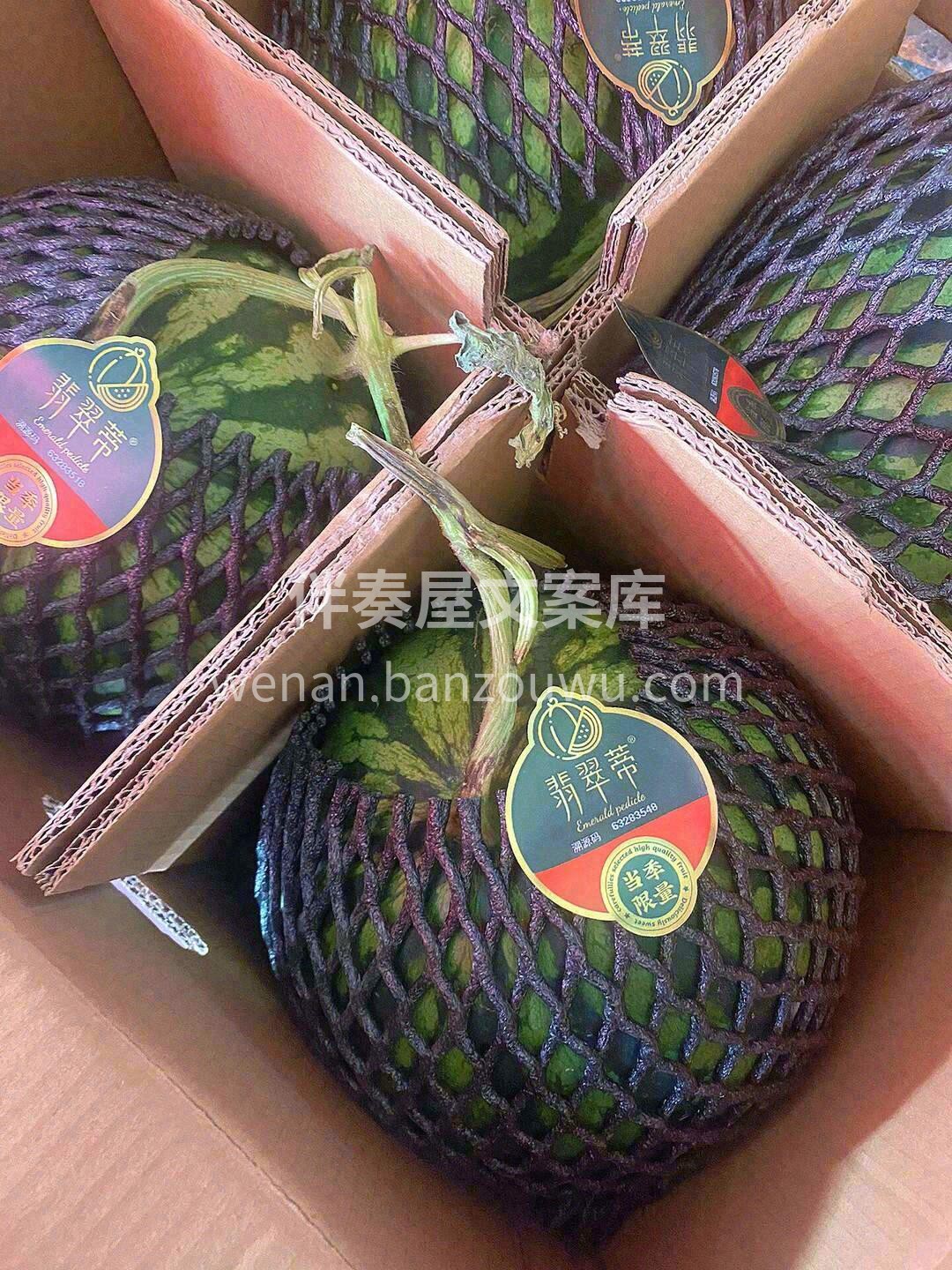 翡翠蒂麒麟瓜🍉 藤蔓到舌尖的热爱，❤特级 配图3