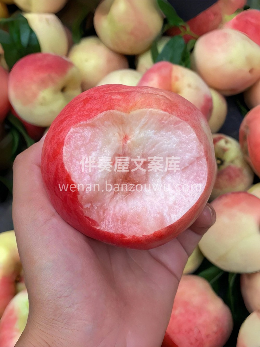 🍑夏日里的桃色约定😘 桃子的形状，是夏天 配图2