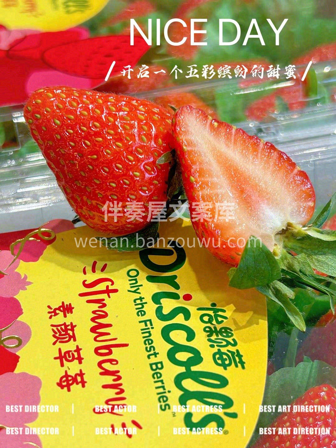 ❄️时光沉淀里，✨甜蜜酝酿中 一年中最值 配图1
