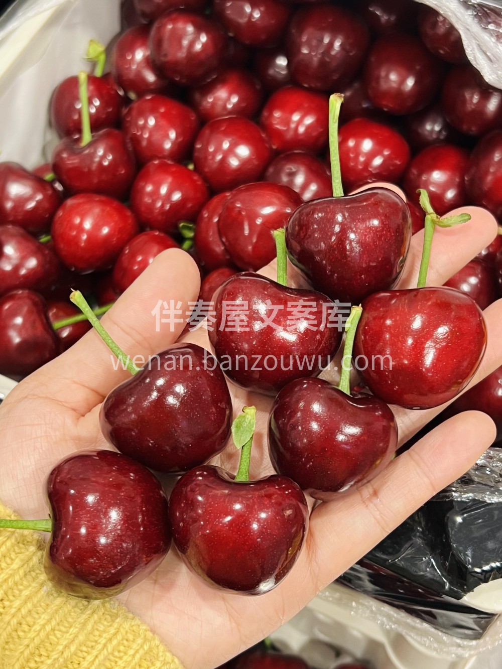 救命！水果脑袋狂喜💥 西瓜🍉裂出第一口夏 配图3