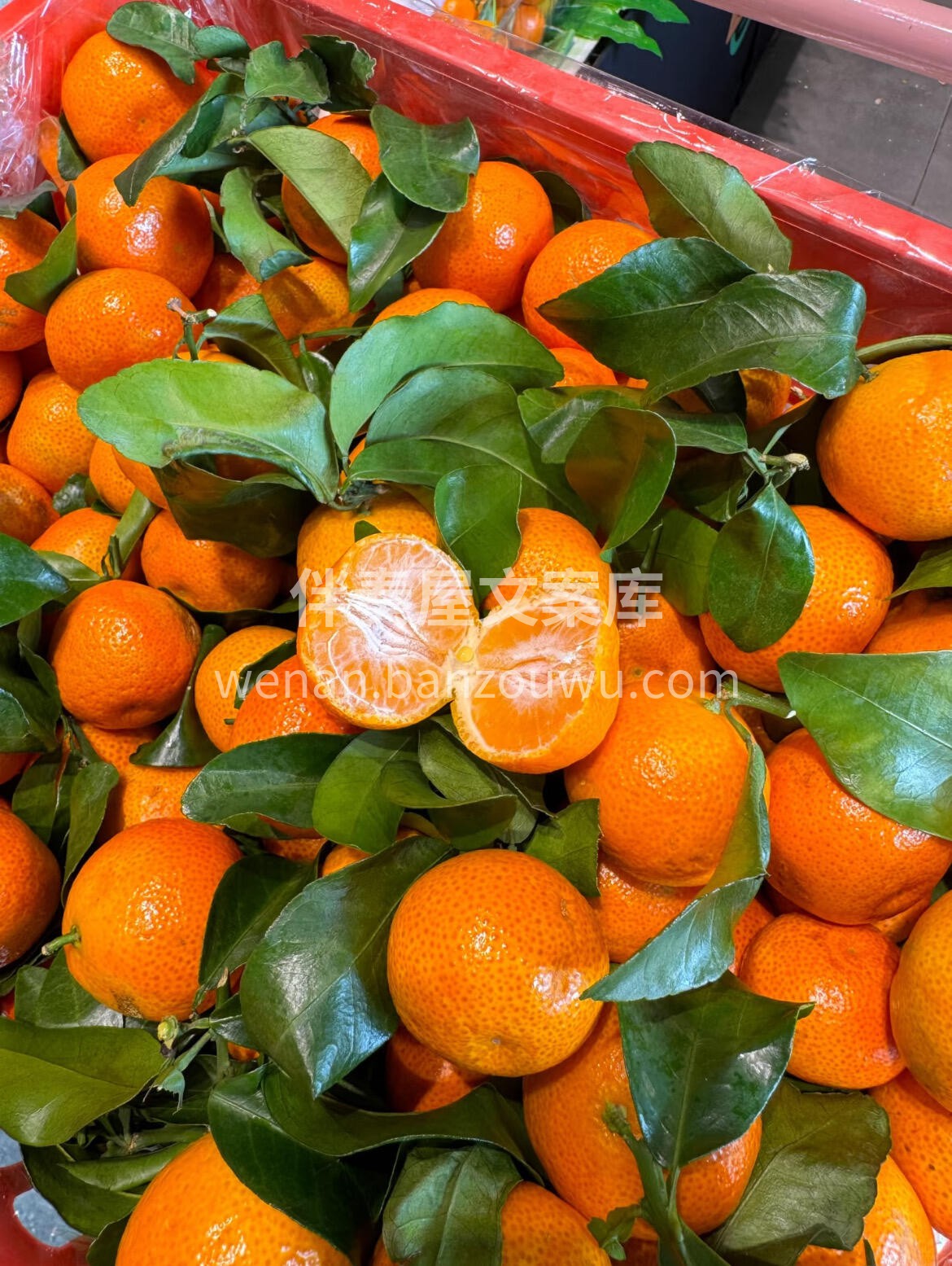 🍊 砂糖橘📣📣 ✨冬日的砂糖橘🍊🍊圆润鲜 配图3