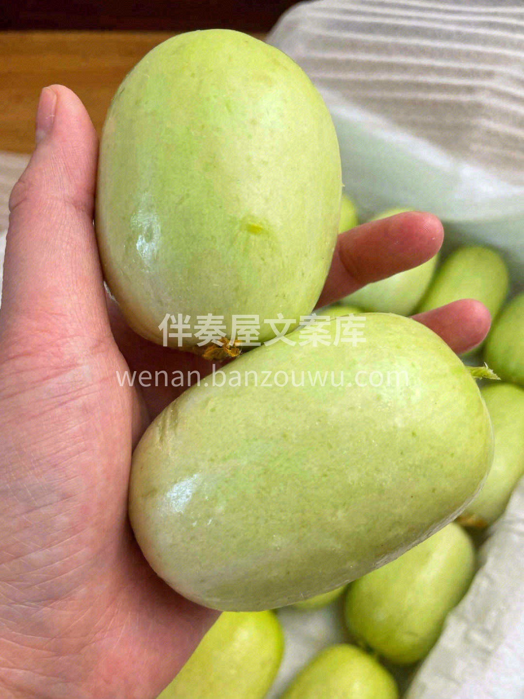 🌿玉女黄瓜外形小巧新颖奇特，它光滑无刺有 配图2