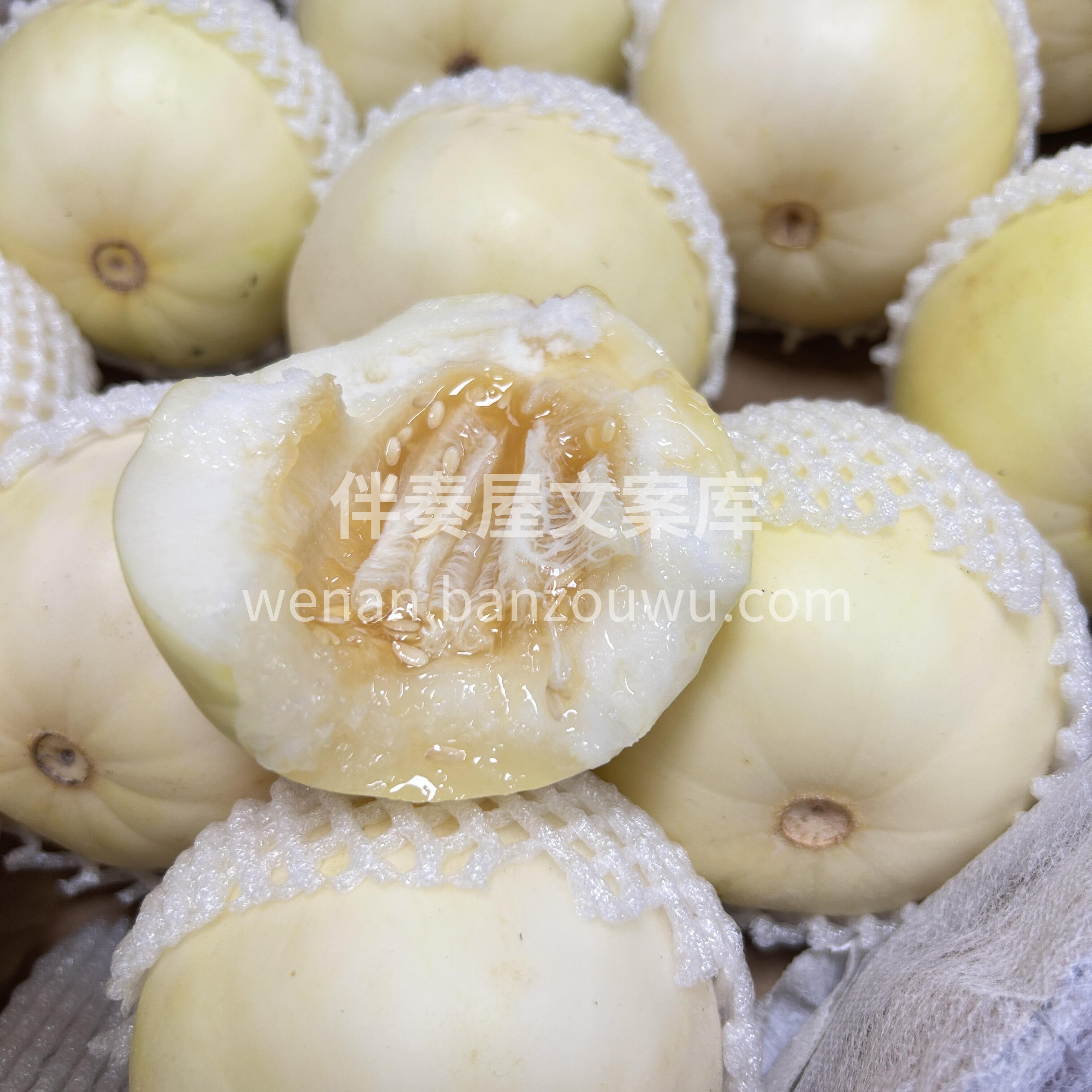 🍈白糖罐香瓜 早春香瓜中最早报道的一个品 配图2