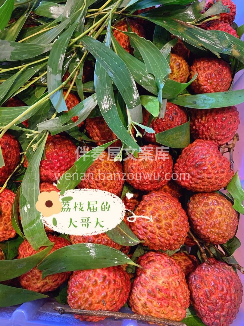 🌋荔枝王||只有吃过荔枝王😎😎 夏天才算 配图1