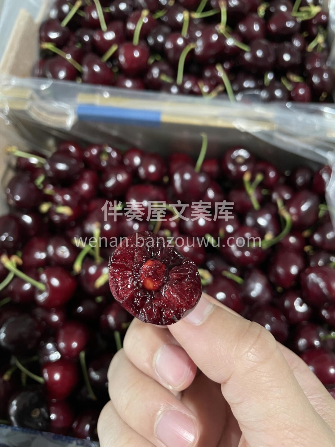 抢"鲜"尝‼️ "BING BING🈶礼 配图1