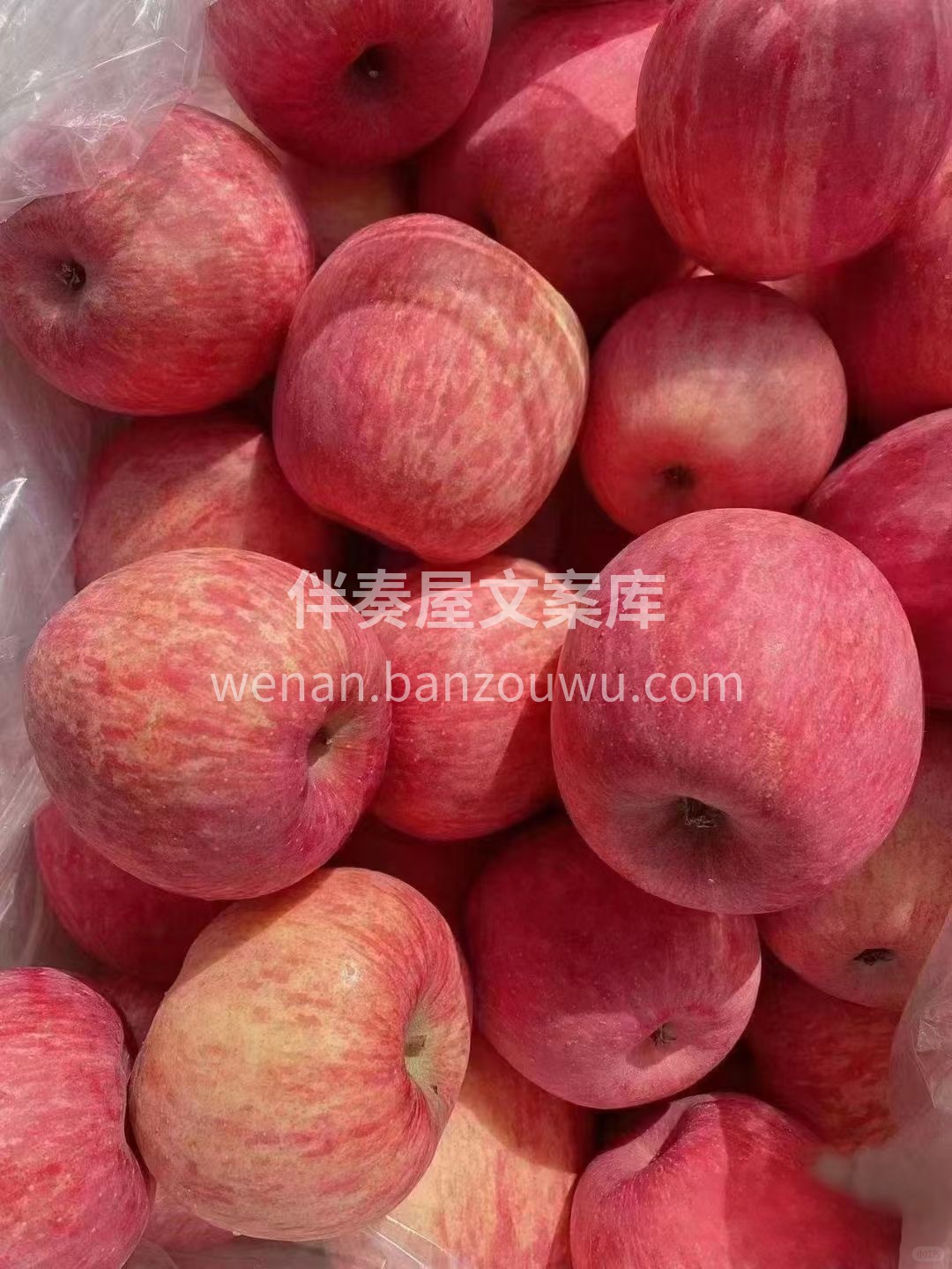 🍎 红富士苹果嘎嘣脆上线！ 果香清甜、果 配图2