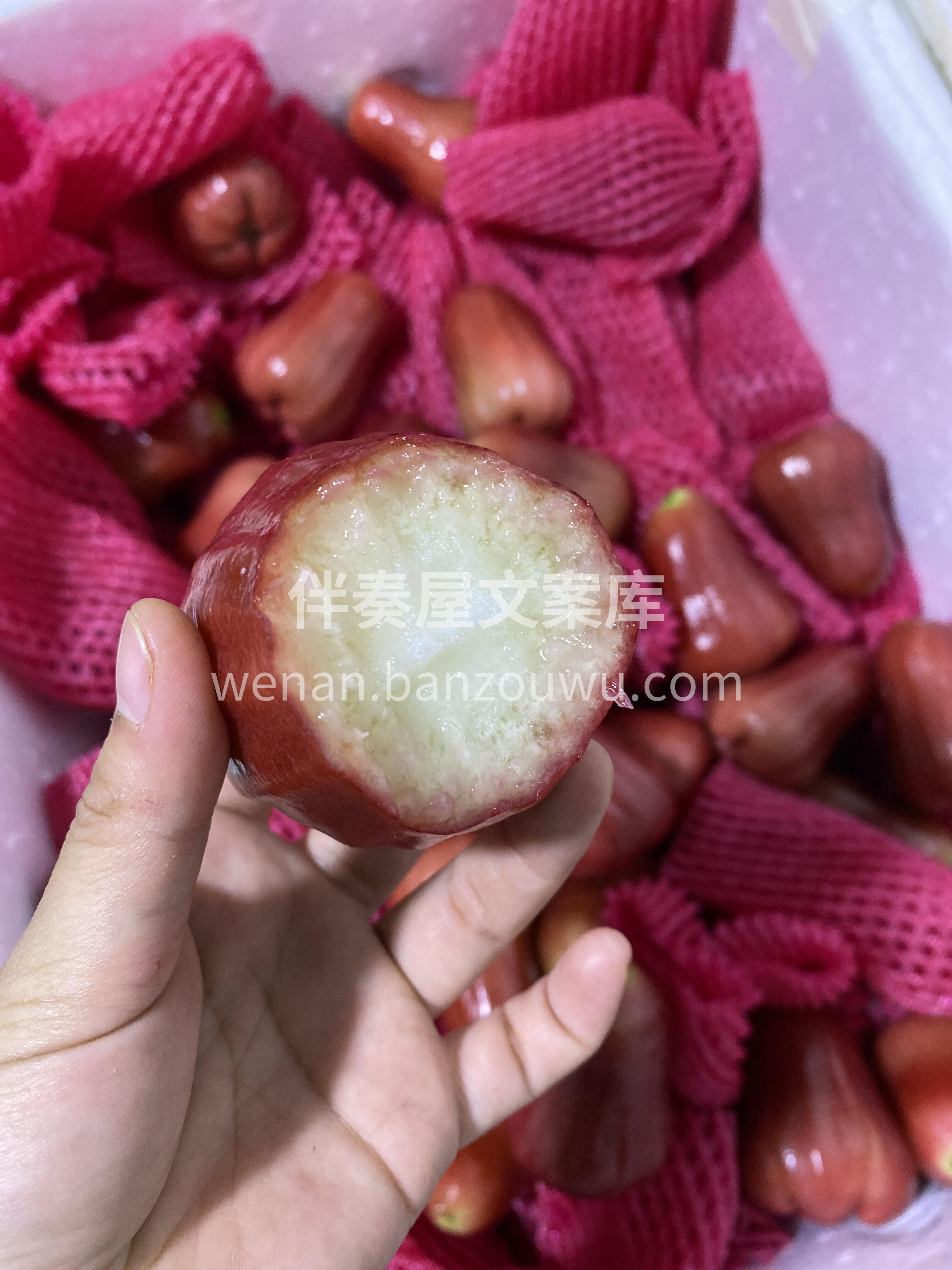 黑金刚莲雾 完全不够吃的节奏～ 清甜，爽 配图1