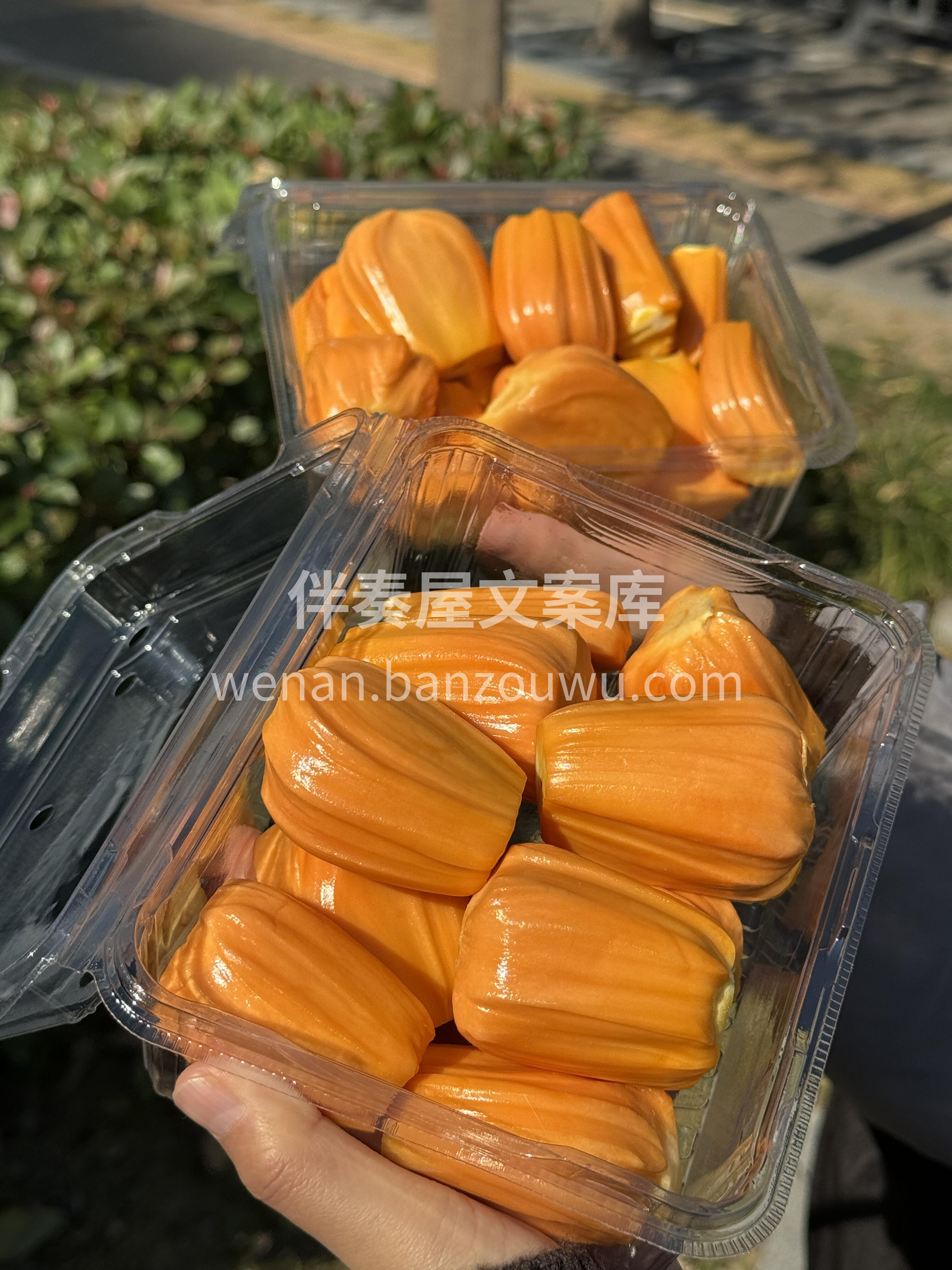 特级红肉菠萝蜜新鲜开剥咯😍！ 香甜~香甜 配图1