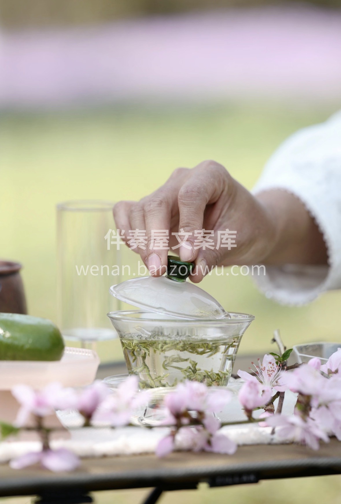 2026元旦赠礼选碧螺春！🎉 🍵苏州东山 配图1