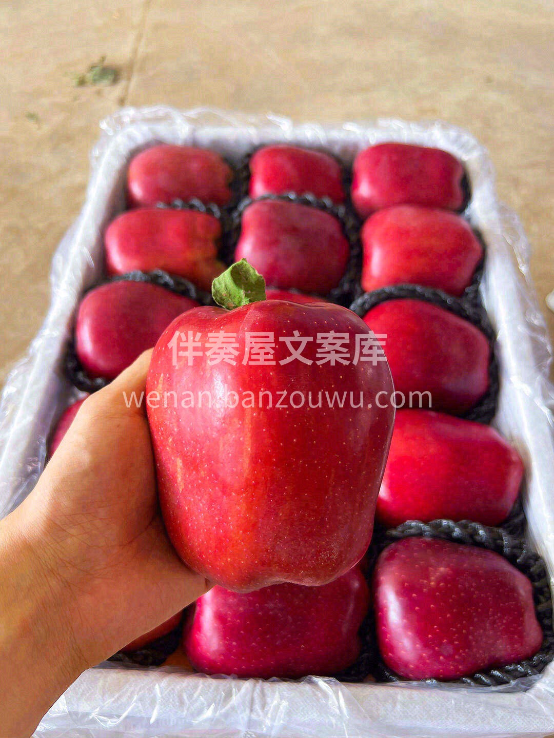 浓郁的火红色❤️，醇正的苹果香🍎 视觉和 配图1