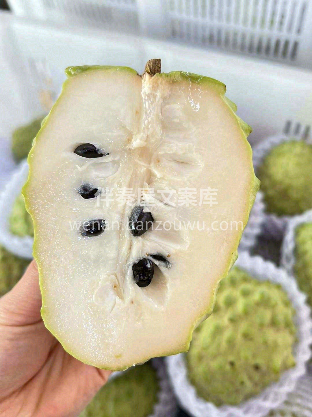 🔱纯甜无酸NO.1就是它！ 🍨冰淇淋般的 配图2