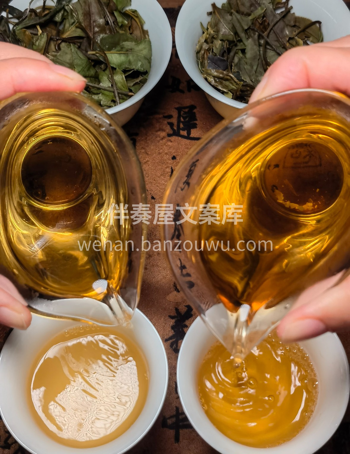 贡眉白茶｜岁月沉淀的清甜 月光白毫缀芽叶 配图3
