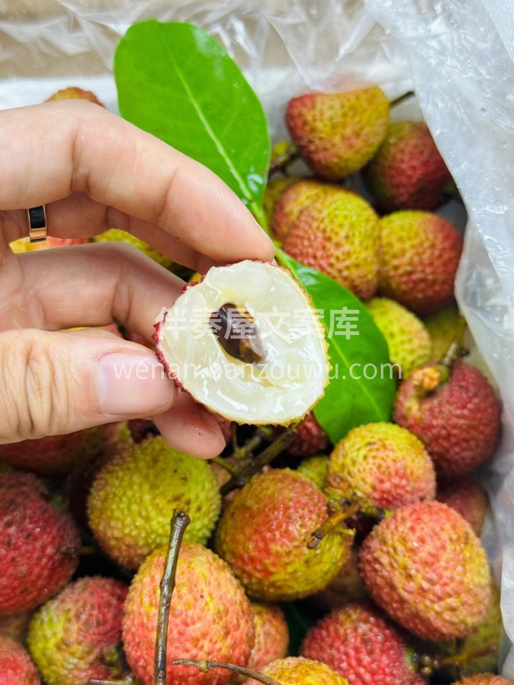 🌿 妃子笑荔枝 唐玄宗为博妃子一笑 动用 配图1