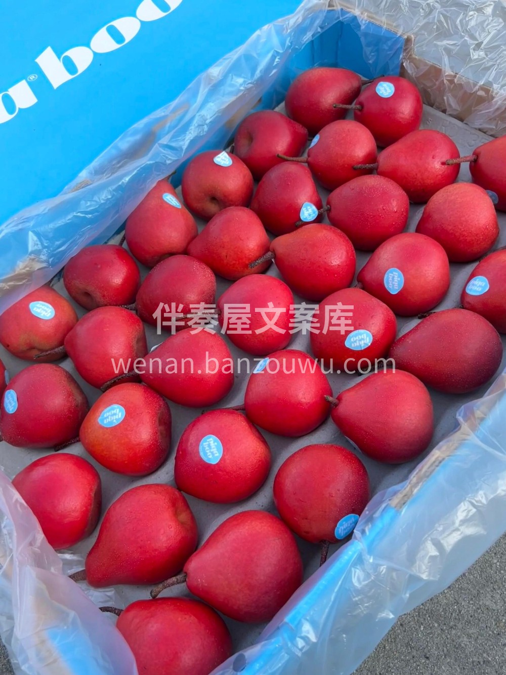 新西兰🇳🇿Piqa® Boo®红梨🍐红艳 配图3