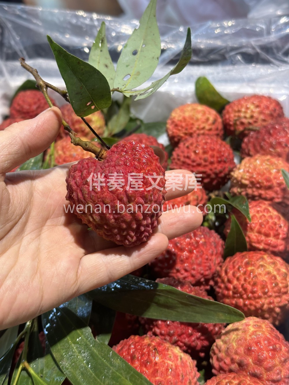 【今日份甜度已到货】🍎 🍇 🍑 水果摊是 配图2